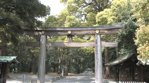 Meiji Shrine Stock Footage 39334432