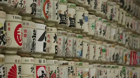 Meiji Shrine Stock Footage 203792296