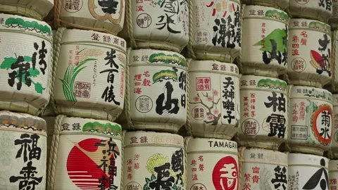 Meiji Shrine Stock Footage 203792361