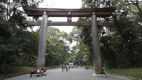 Meiji Shrine Stock Footage 203792725