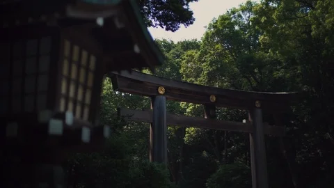 Meiji Shrine Torii Gate - cinematic move in Tokyo Japan Stock Footage