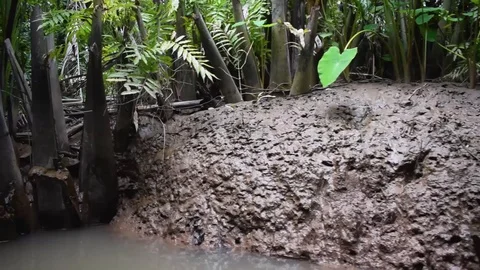Mekong delta river side Stock Footage 128192530