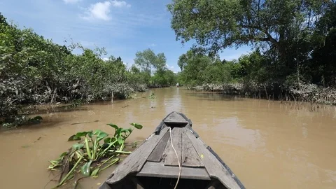 Mekong Delta Rowing Stock-Footage 113464932