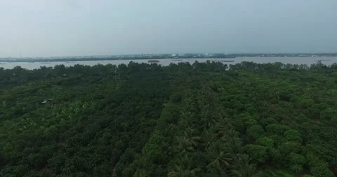 Mekong river and palms, Turtle Island - Aerial. Vietnam. Stock Footage 62626863