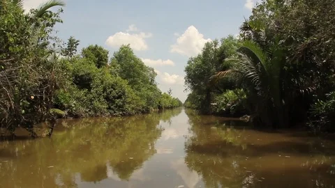 Mekong river backwater Stock Footage 73922589
