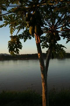 Mekong river Stock Photos
