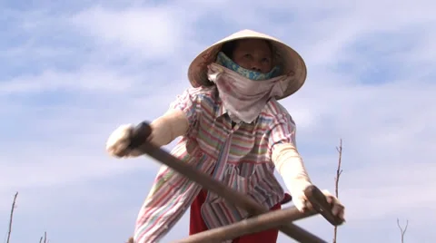 Mekong Taxi Driver Stock Footage 33799409