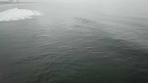 Melancholic waters with dolphins Video stock 170216741