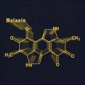 Melanin molecule, Structural chemical formula Stock Illustration