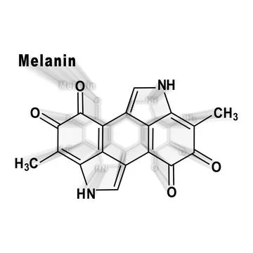 Melanin molecule, Structural chemical formula Stock Illustration