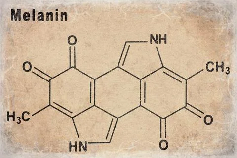 Melanin molecule, Structural chemical formula Stock Photos