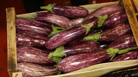 Melanzane egg plant Vídeos de archivo 125029911