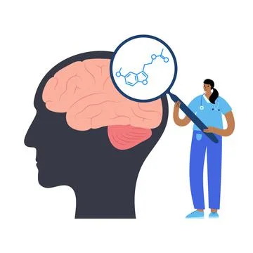Melatonin chemical formula Stock Illustration