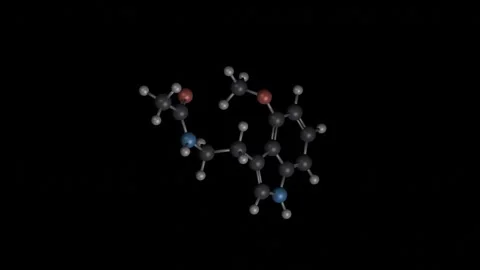 Melatonin Molecule Building Animation on Black Background Vídeos de archivo 344702034