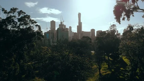 Melbourne City Aerial Drone Rise Above Park Sun Flare  Stock Footage
