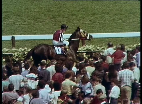 MELBOURNE CUP, VICTORIA  (1979) ASSORTED SHOTS Video stock 158971214