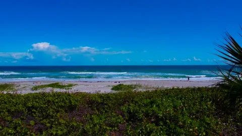 Melbourne Fl Beach Stock-Footage 220089052