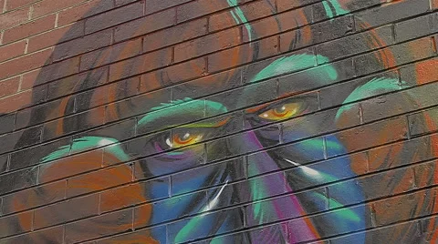 Melbourne graffiti monkey corner Stock Footage 50553355