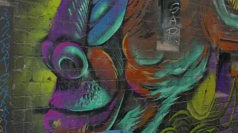 Melbourne graffiti monkey corner Stock Footage 50555110