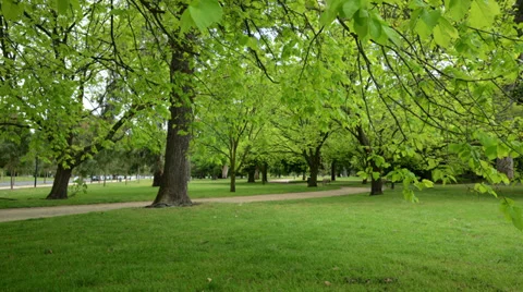Melbourne park panning Stock Footage 32420831