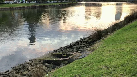 Melbourne skyline reflection Video stock 97611581