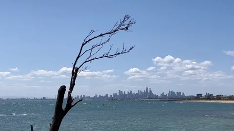 Melbourne: View towards CBD from Middle Brighton Beach in Port Phillip Bay, 4K Stock Footage 297754594