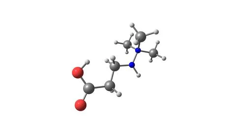 Meldonium molecular structure isolated on white Stock Illustration