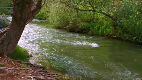 Melendiz River flowing through the Ihlara Valley in Cappadocia, Turkey Stock Footage 332546288