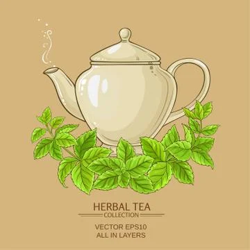 Melissa herbal tea Stock Illustration