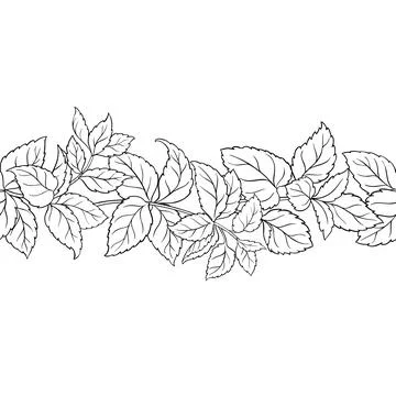 Melissa Outline Horizontal Seamless Pattern. Stock Illustration