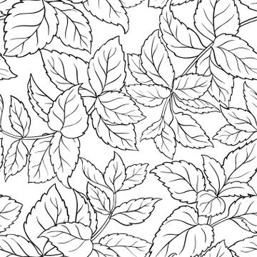 Melissa seamless pattern Stock Illustration