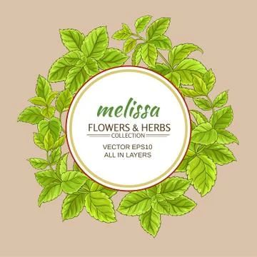 Melissa vector frame Stock Illustration