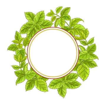 Melissa vector frame Stock Illustration