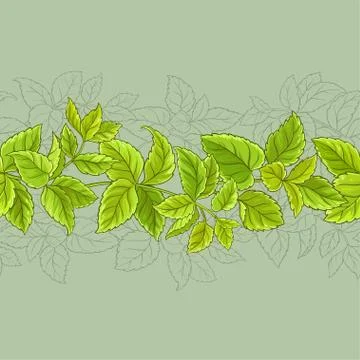 Melissa vector pattern Illustrazione stock