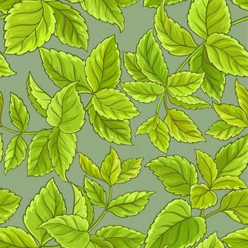 Melissa vector pattern Illustrazione stock