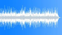 Mellow Acoustic Folk Trio Background Music 42 WAV Stock Music
