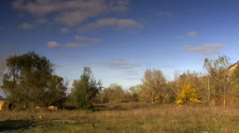 Mellow autumn. Stock Footage 562146