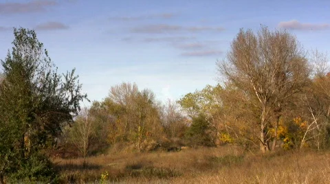 Mellow autumn. Stock Footage 582672