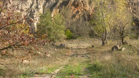 Mellow autumn I. Видео 578166