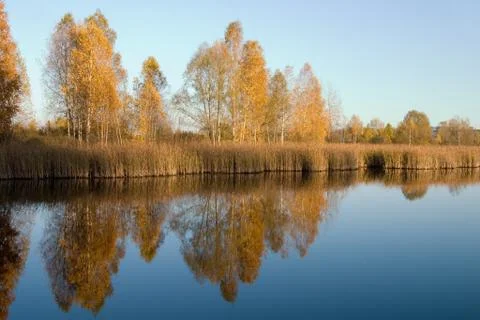 Mellow autumn Foto stock