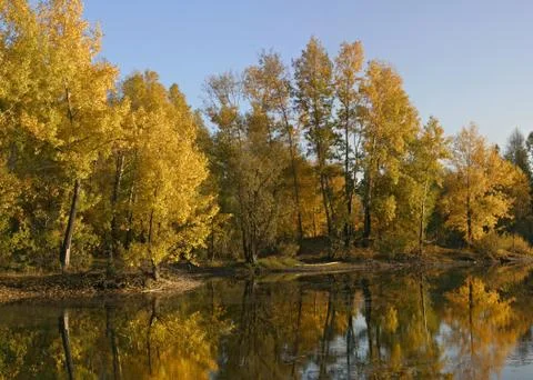 Mellow autumn 스톡 사진