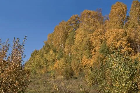 Mellow autumn Foto stock