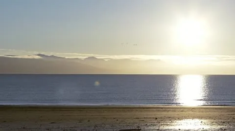 Mellow Beach Scene with Distant Birds Flying Stock Footage 12644428
