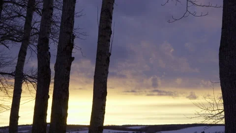 Mellow cloudy bright orange and purple sunset with line of tree trunk and snowy Vídeo Stock 266783712