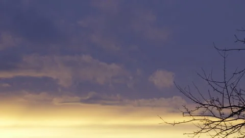 Mellow cloudy bright orange and purple sunset with tree and tree branches Stock Footage 266783967