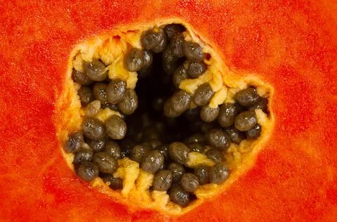 Mellow papaya Stock Photos