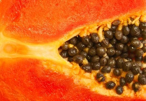 Mellow papaya Stock Photos