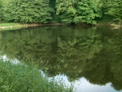 Mellow River Stock Footage 490132