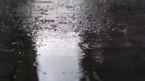 A Melodic Symphony of Rain Falls" Video stock 242550880