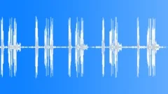 Melodious calling of a songbird in the African bushSound Effect